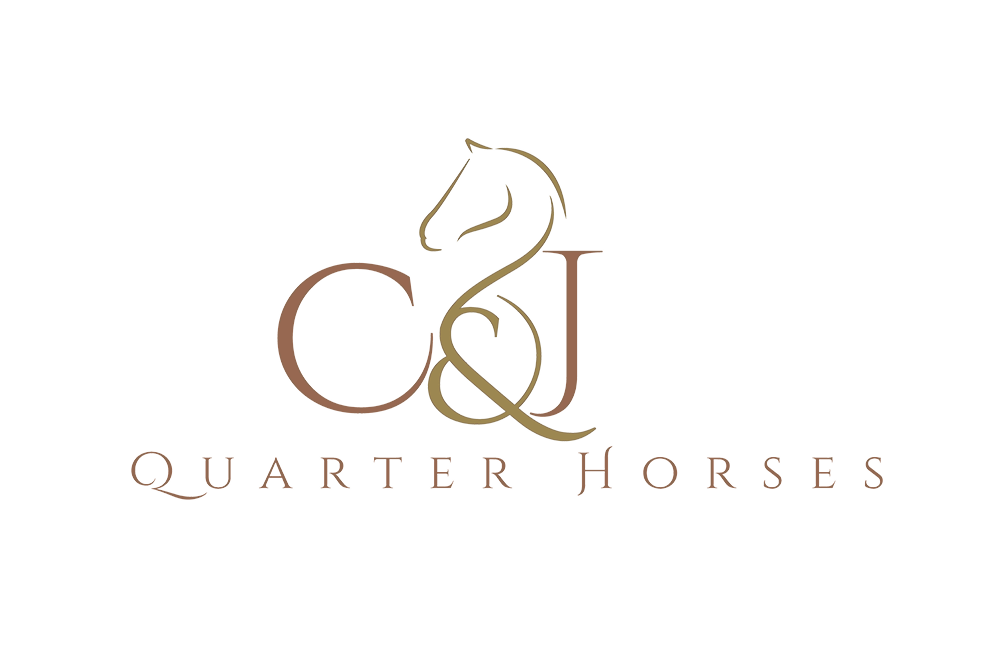 C&J Quarter Horses LIGHT copy